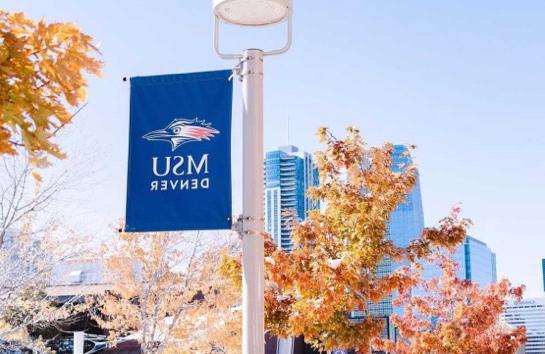 MSU Denver miniature flag on a lightpost