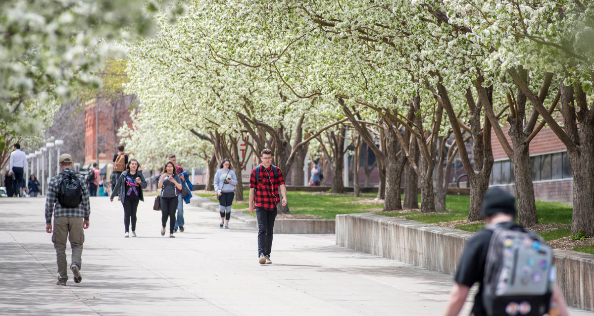 MSU Denver Campus with Students