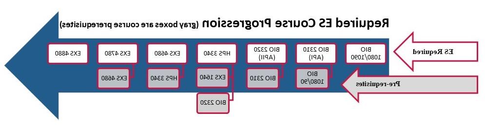 EXS课程顺序