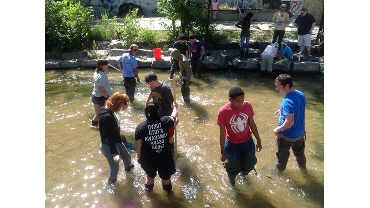 Summer Science Scholars