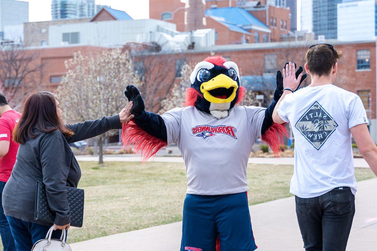 Rowdy the Roadrunner, MSU Denver's mascot, giving high-fives to a student and an adult during an outdoor event. The student is wearing a white 'Salty Crew' T-shirt, and the adult is wearing a gray jacket and carrying a black quilted bag. The background features buildings and trees on the MSU Denver campus.